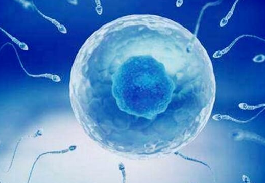 精子成活率低：优生优育路上的“绊脚石”