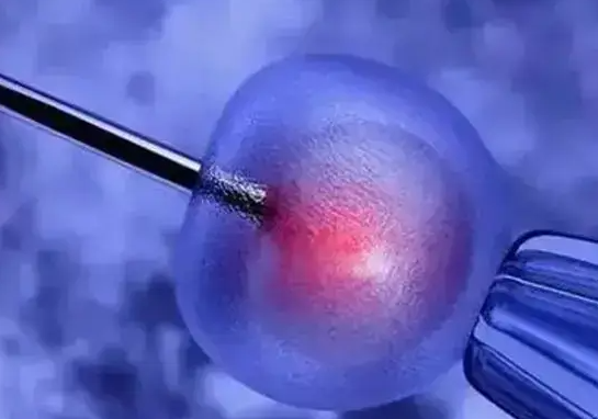 上海试管婴儿医院：促排可连续进行几次？科学把控，守护卵巢健康