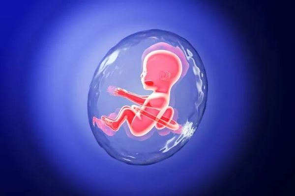 美国EFC生殖中心：免疫系统出问题，胎停不孕等症状会屡屡出现？