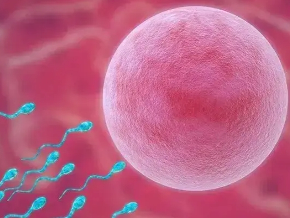 赴泰试管婴儿移植后憋尿对着床有影响，这些危险先了解