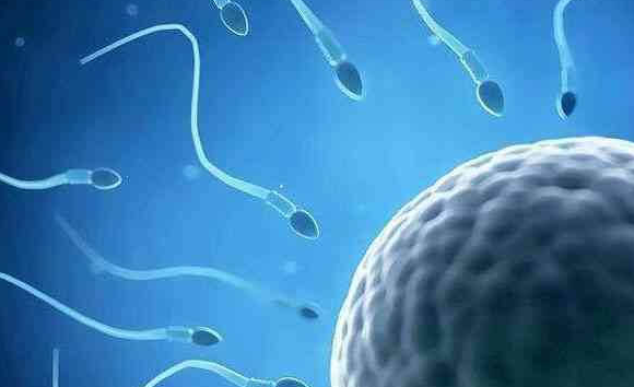 上海试管婴儿医院：取了卵却配不到胚胎？或与卵子成熟度密切相关