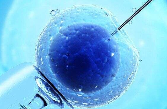 济南三代试管婴儿：能否排除唇腭裂及成功妊娠几率解析