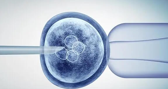 山东济南试管婴儿：试管婴儿二次移植为何更容易成功？方案的优化是重点