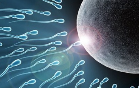 山东大学附属生殖医院试管婴儿挂号全攻略