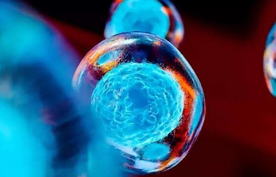 山东大学附属生殖医院试管医生介绍及推荐