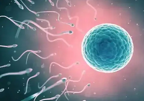 山东试管婴儿：卵泡长大了却不排？精神压力或是“隐形杀手”