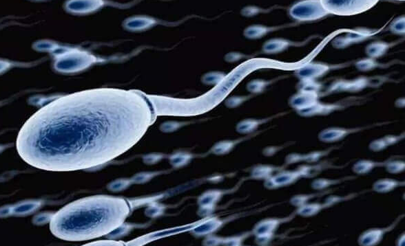 精子顶体酶活性低在济南做试管婴儿有希望！附成功率数据说明