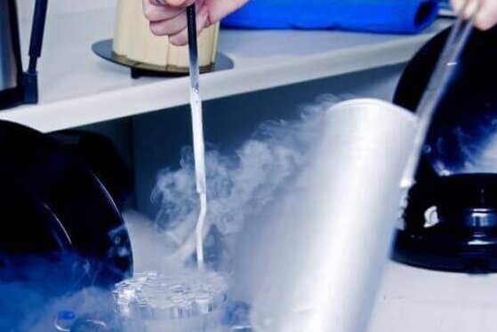 山东试管婴儿3天冻胚移植第10天还是白板不要慌！是否正常看这3点