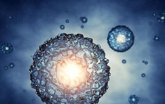 美国EFC生殖中心：冻胚移植全过程-解冻复苏仅是关键一步