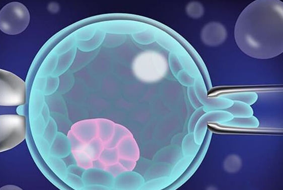 泰国DHC生殖医院：自然周期冻胚移植前这三项检查必不可少