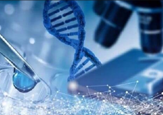 为何第三代试管成功率高？筛查技术实现“优生优育”