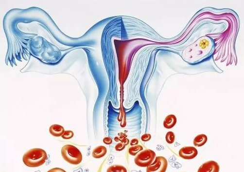 跳绳：试管婴儿助孕路上的“隐形助力器”