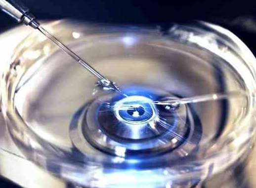 试管婴儿取卵与移植：疼痛程度大揭秘