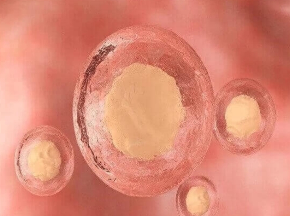 泰国做试管婴儿促排卵子只有2个？别慌，看这里！