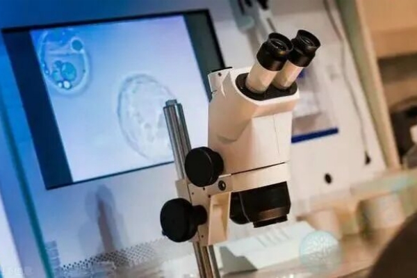 吉尔吉斯斯坦试管助孕：这些问题你都了解过吗？