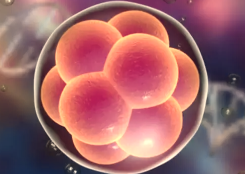 吉尔吉斯斯坦三代试管：高成功率背后的“秘密”