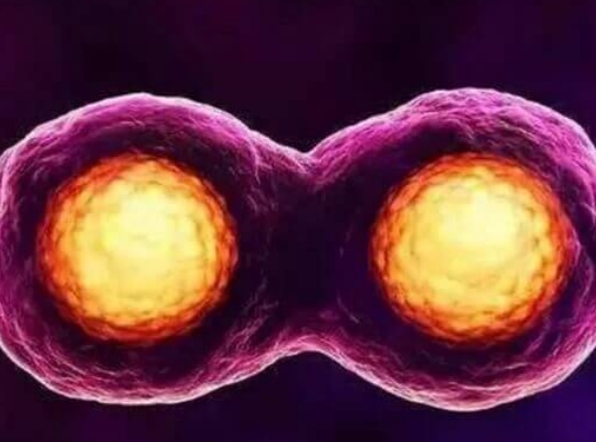 试管婴儿多胞胎为何必须谨慎对待？多胎妊娠风险全解析