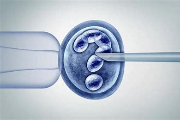 格鲁吉亚试管前激素六项异常怎么办？调理与应对方案