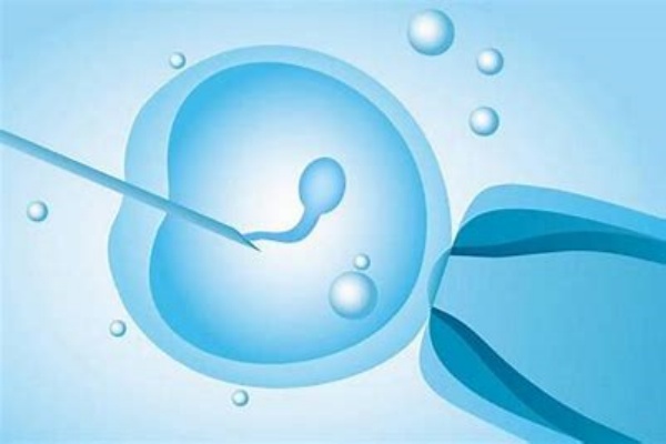 格鲁吉亚试管婴儿精子碎片率有哪些影响？