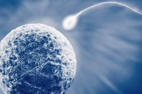 男性不育：揭开背后“元凶”的面纱