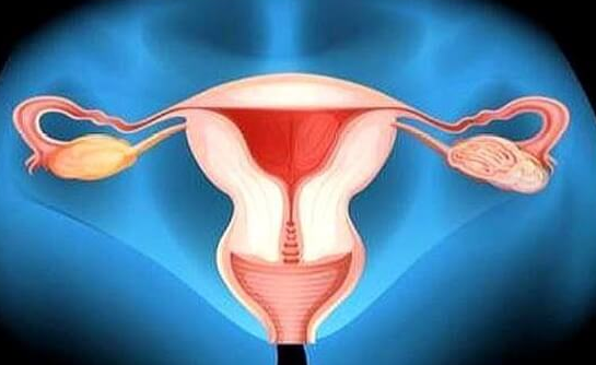 子宫腺肌症试管移植失败？科学应对有妙招