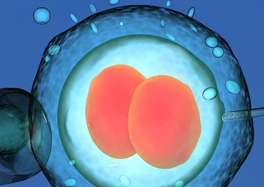 试管之路：别让坏情绪“偷走”好孕气