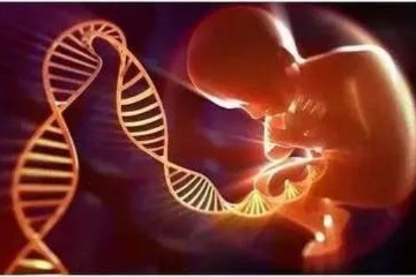 赴格鲁吉亚和在国内做试管婴儿有什么区别？