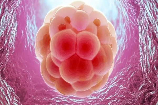 这四类人群做试管婴儿养囊优势显著