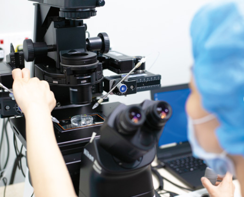 爱维国际生育中心三代试管婴儿：取卵少与卵巢功能下降的深度解析