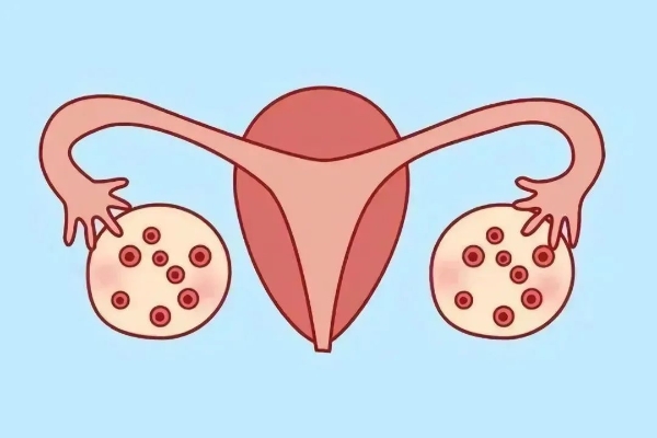 美国CCRH生殖中心：女性促排后不取卵的潜在风险