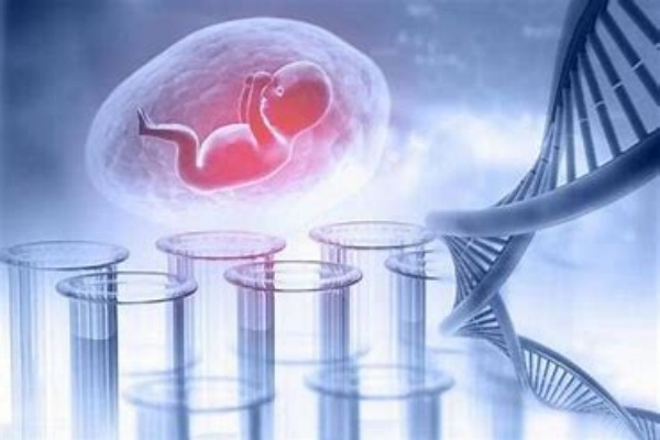 杭州第三代试管婴儿：技术先进，成功率可观