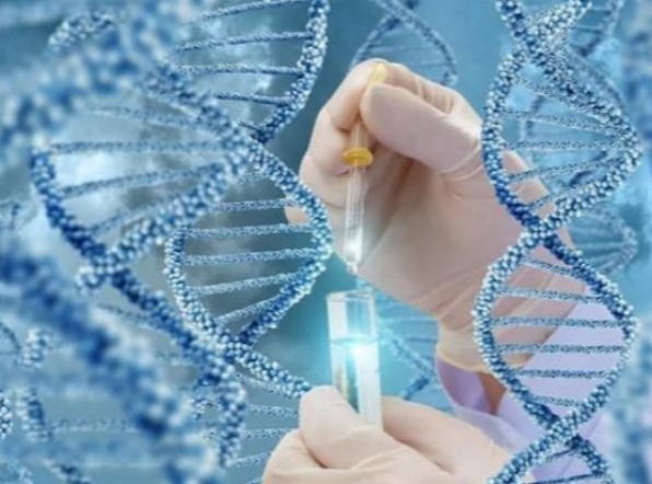 北京三代试管婴儿：技术优势与适用人群全解析