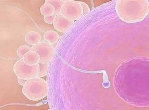 北京试管婴儿前男女双方检查项目全解析