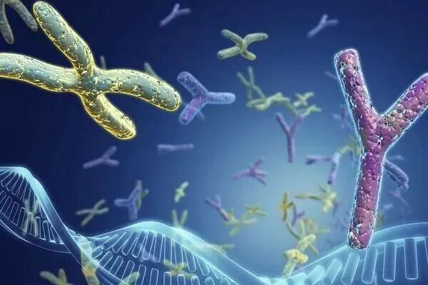 地中海贫血患者生育指南：基因风险评估是核心