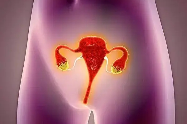 格鲁吉亚Universe：月经不调影响试管婴儿成功率，如何有效调理？
