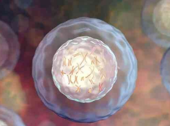 北京三代试管婴儿前3个月全方位调理指南