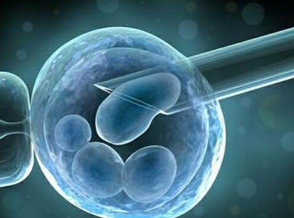 北京试管鲜胚移植要求解析：内膜厚度与容受性是关键
