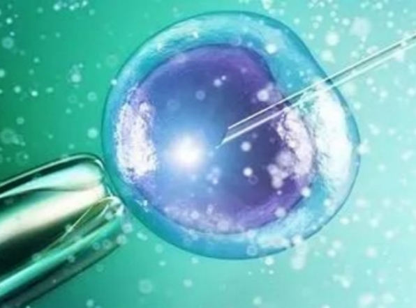 一文详解吉尔吉斯斯坦试管胚胎移植后的科学护理与注意事项