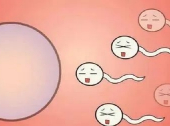 高龄女性到吉尔吉斯斯坦试管助孕提高成功率的秘诀