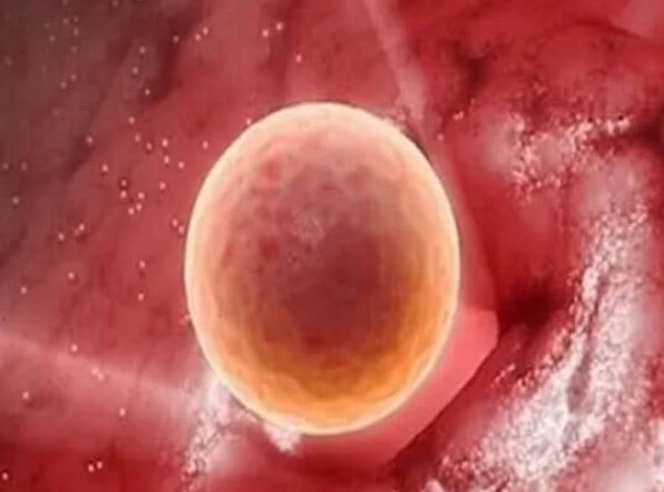 高龄试管取卵后调理身体有妙招：休息与营养并重