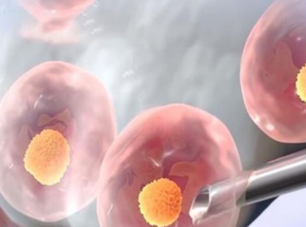 北京试管婴儿全流程：从术前检查到验孕的6步之旅