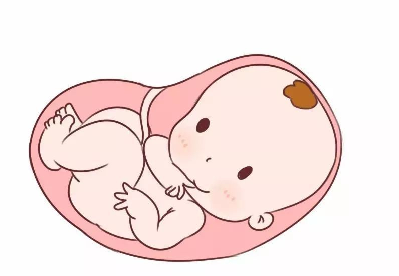 美国EFC生殖中心三代试管婴儿：从定方案到怀孕的时间全解析