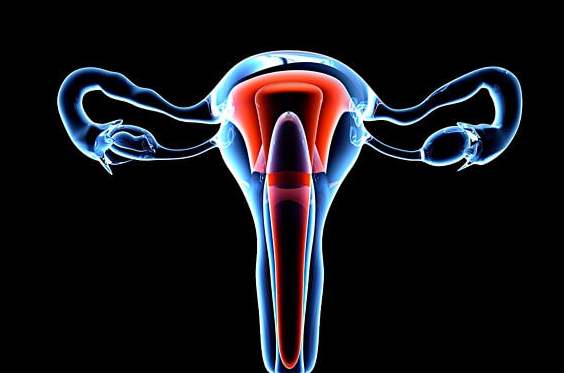 宫腔粘连对女性生育的影响：不孕、月经不调等问题解析