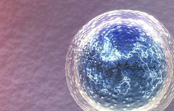 杭州试管婴儿费用详情介绍，能否报销一看便知