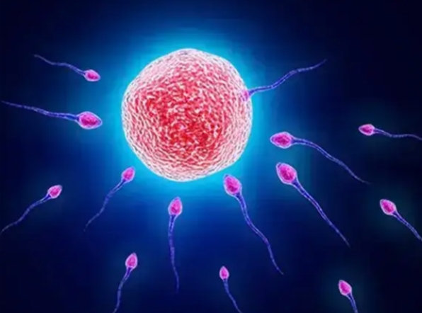 北京三代试管婴儿成功率解析：技术突破与个体差异并存