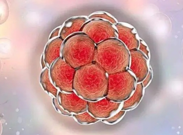 高龄女性北京做试管婴儿的全面准备指南