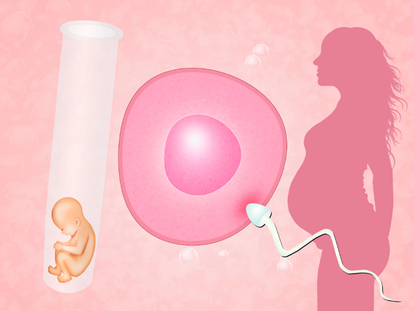 美国BHF生殖中心三代试管婴儿：科学提升卵子质量的全方位指南
