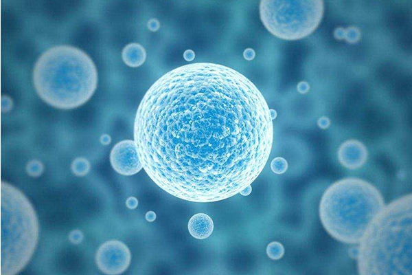 泰国千禧生殖中心：试管婴儿取卵数量对年轻女性的优势