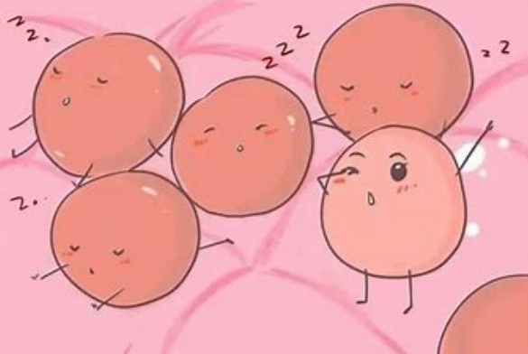 试管婴儿长方案促排后卵泡小的原因