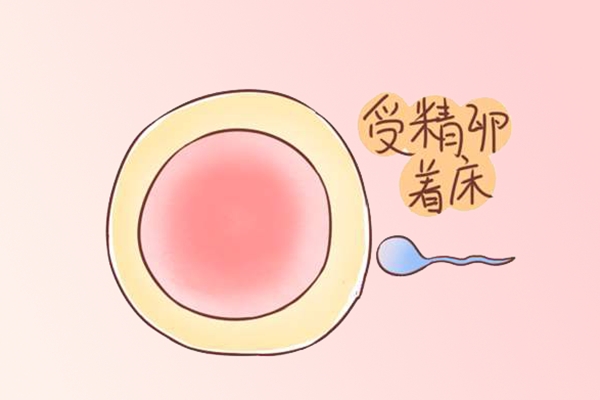 北京试管婴儿医院：试管移植后着床成功的特征